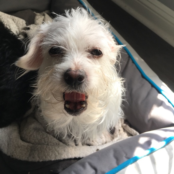 minnielynnie